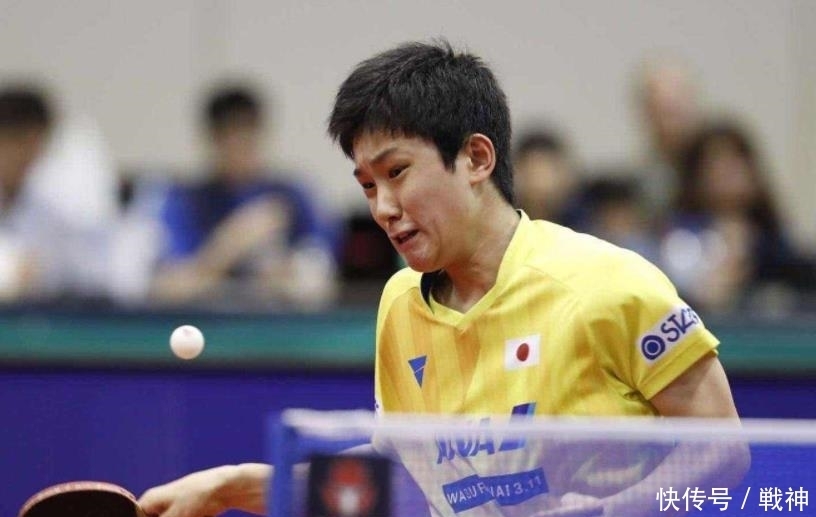 可以预见 可以预见